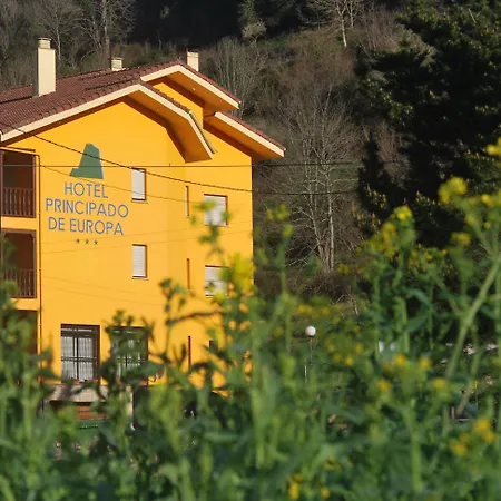 欧罗巴普林森帕多酒店 阿里纳斯·德·卡伯瑞勒斯