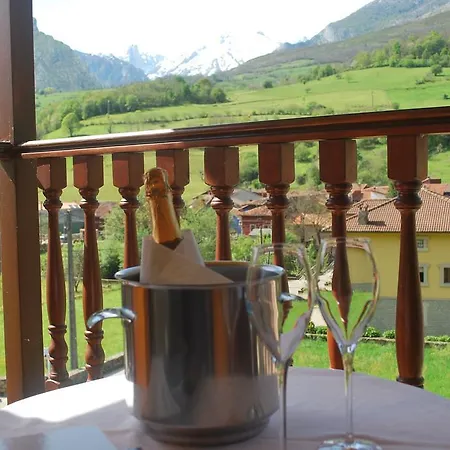 欧罗巴普林森帕多酒店 3* 阿里纳斯·德·卡伯瑞勒斯