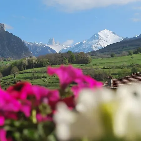 欧罗巴普林森帕多酒店 酒店 3*