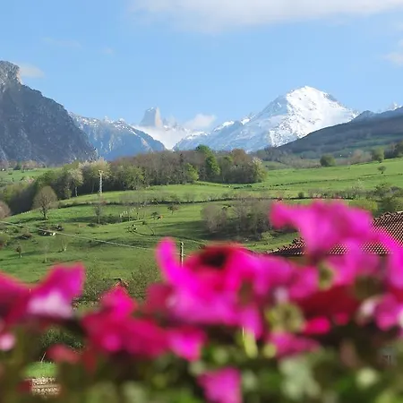 欧罗巴普林森帕多酒店 阿里纳斯·德·卡伯瑞勒斯