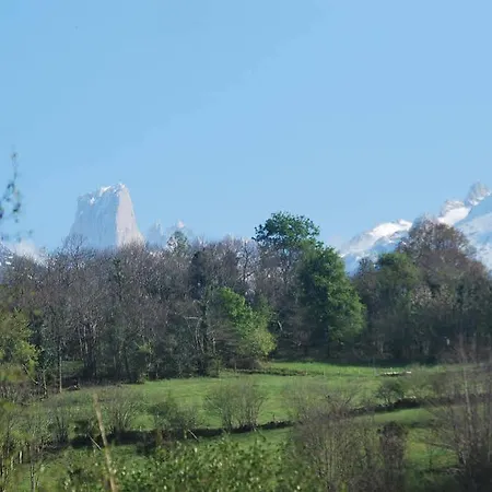 欧罗巴普林森帕多酒店 酒店
